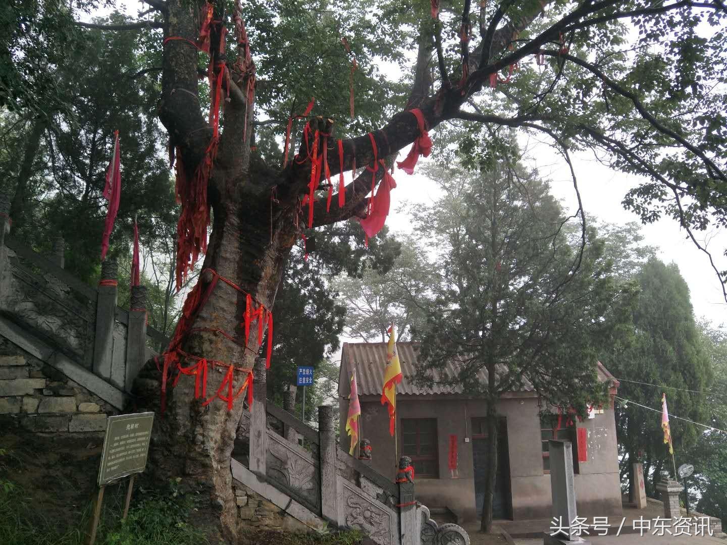 富平县金粟山风景视频,富平必游景点金粟山离富平多远