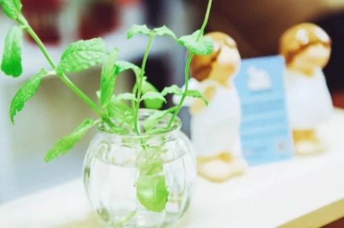 癌症第二次复发治疗方式,癌症第二阶段止痛药