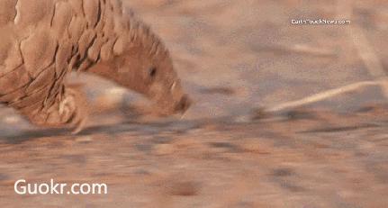 朋友圈里卖低价服装的真相,朋友圈代购低价套路