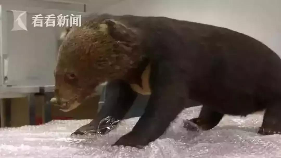 海外代购的暴利秘密 (代购圈乱象)