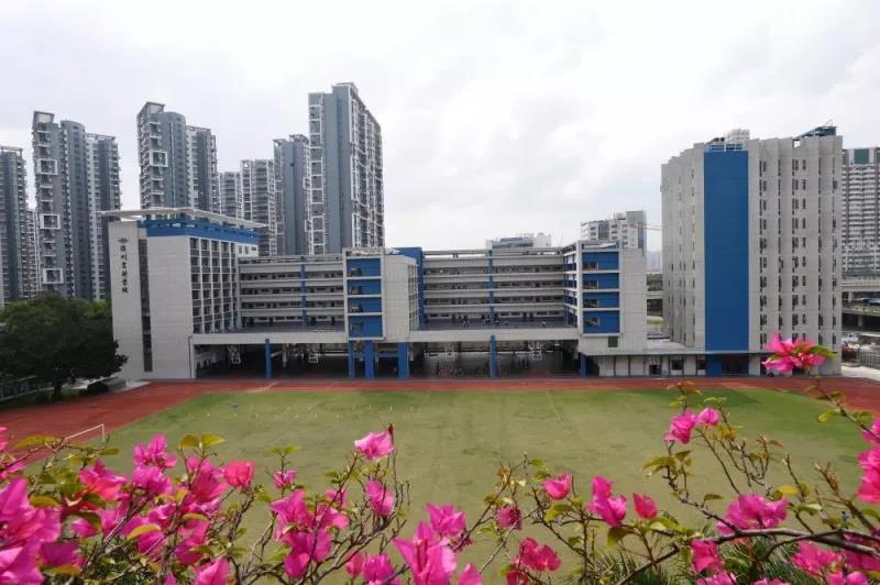 深圳实验中学和深圳中学哪个好,深圳名校揭秘深圳中学