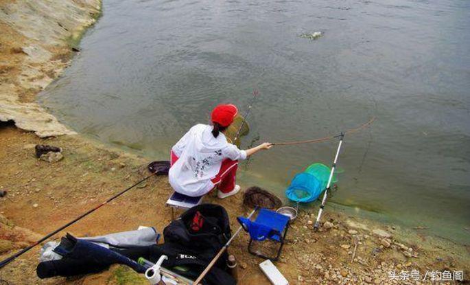 新手选择鱼竿综合竿怎么选,新手如何选择手竿鱼竿