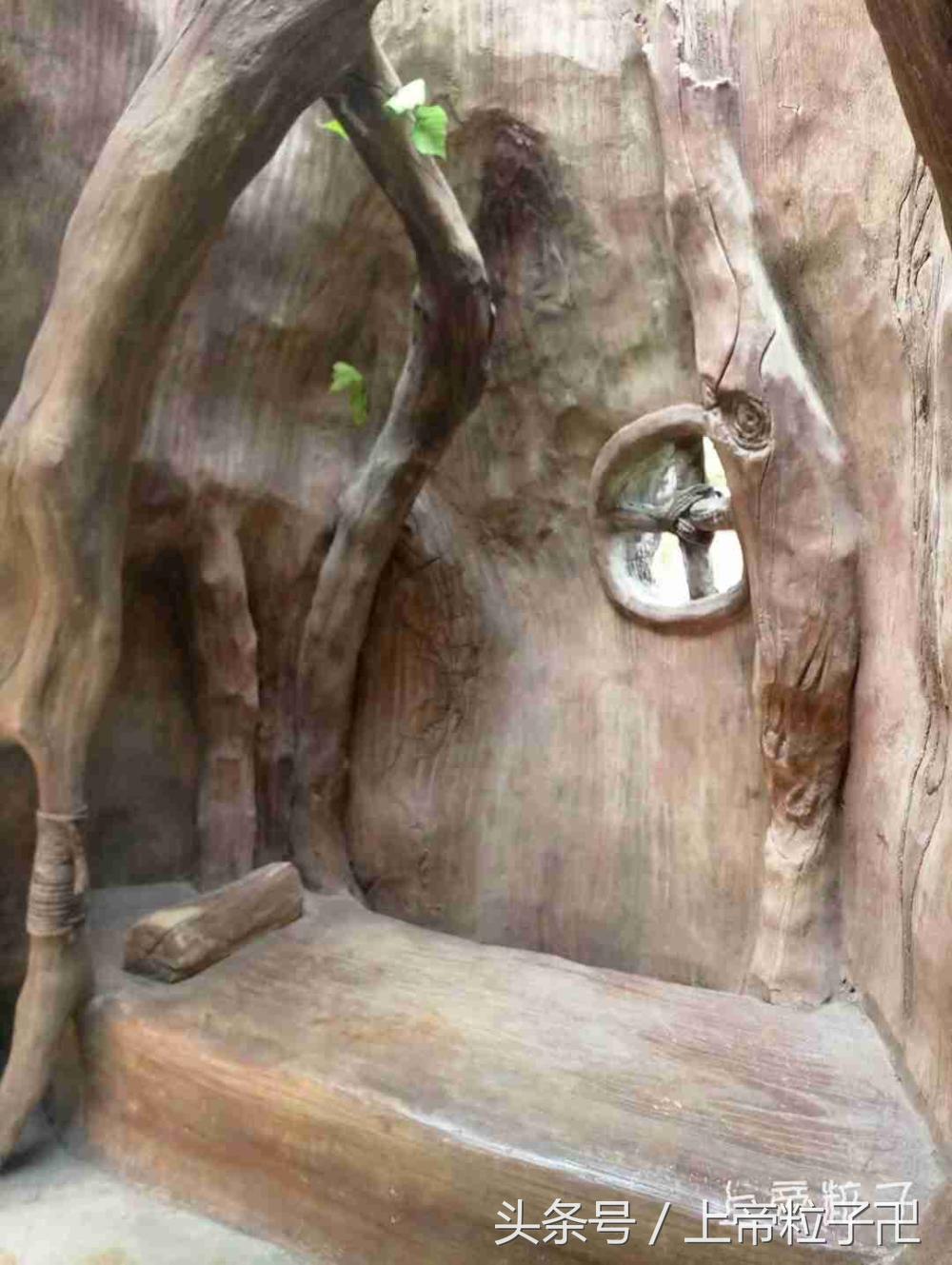 厦门方特梦幻王国官网,厦门同安方特梦幻王国