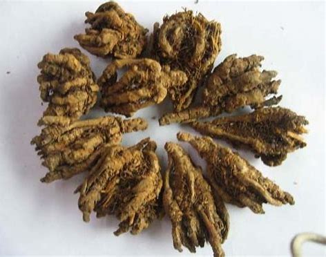 咽干口燥口苦是什么原因吃啥药,咽干口干口苦喉咙有异物感