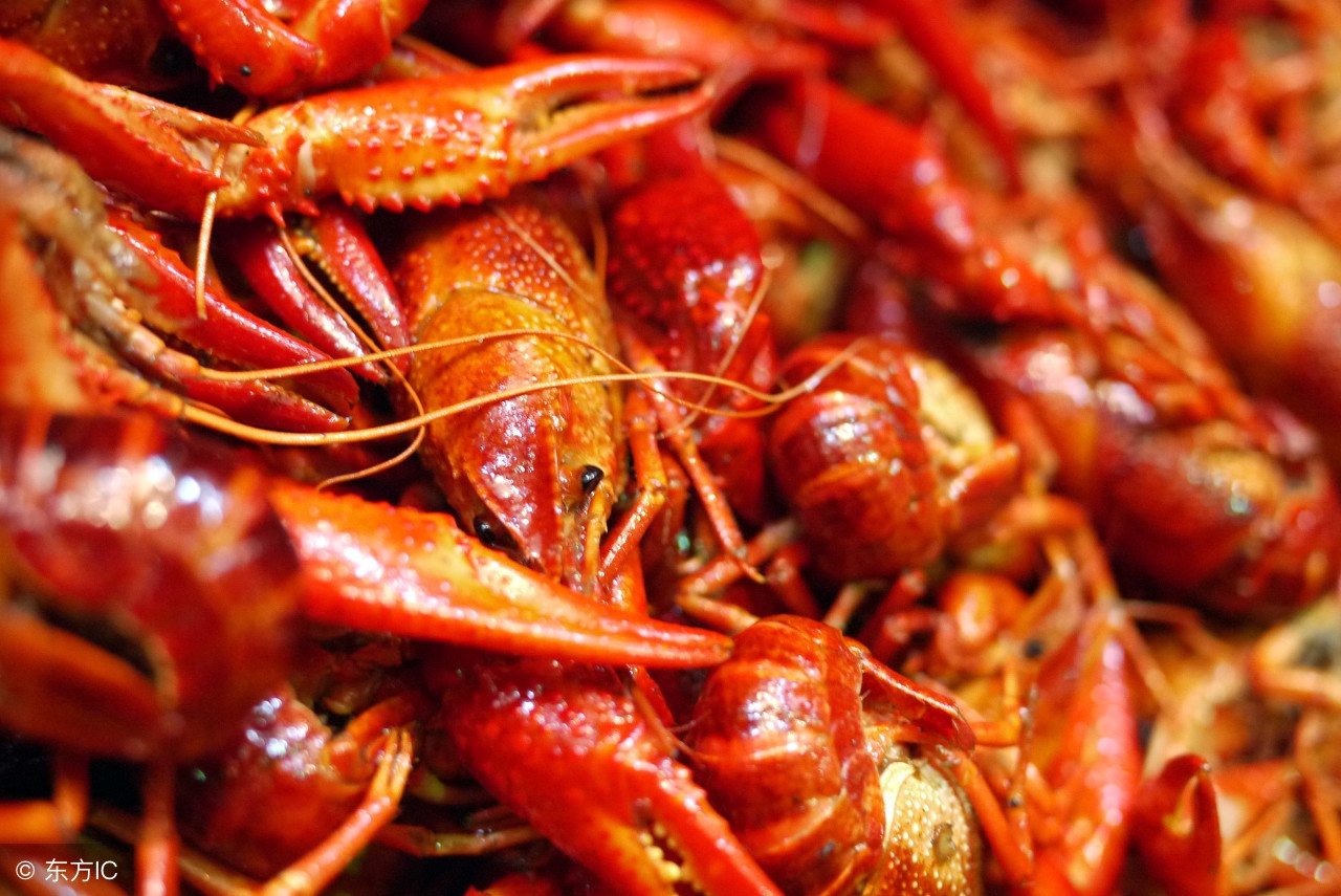杰哥观市:小龙虾市场风云再起谁能笑傲江湖
