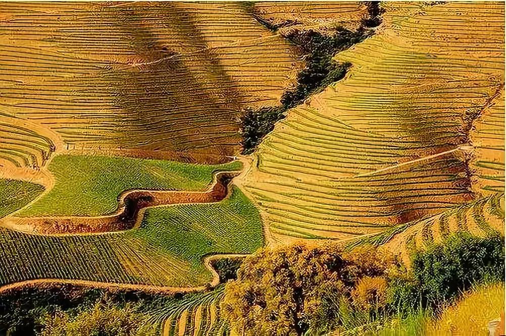 波特甜型葡萄酒,波特经典干葡萄酒