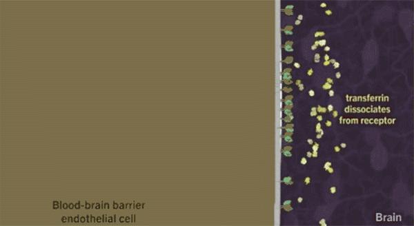 这3种药被家长滥用,八种儿童神药被禁用