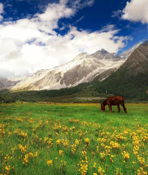 甘孜州有个很美的地方,四川甘孜之美