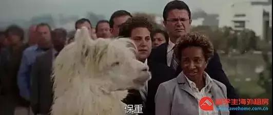 awehome怎么样,awehome靠谱吗