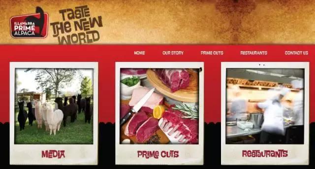 awehome怎么样,awehome靠谱吗