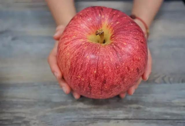 世界上最贵的水果十大排名,世界十大最贵水果排名