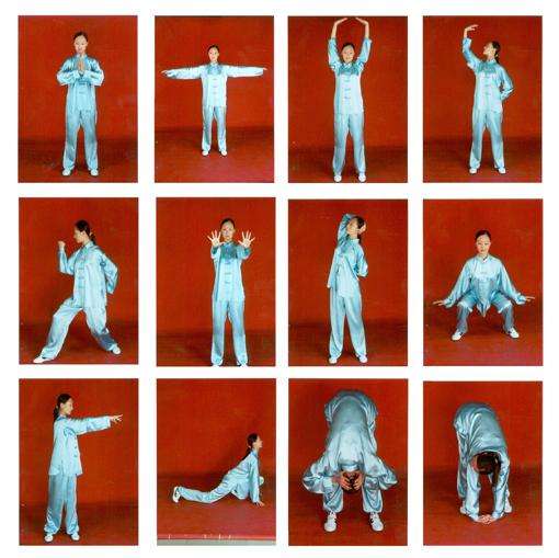 学习养生课的心得体会,传统养生与保健课程心得