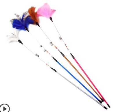 超级推荐的猫,推荐猫最爱吃的东西还很便宜