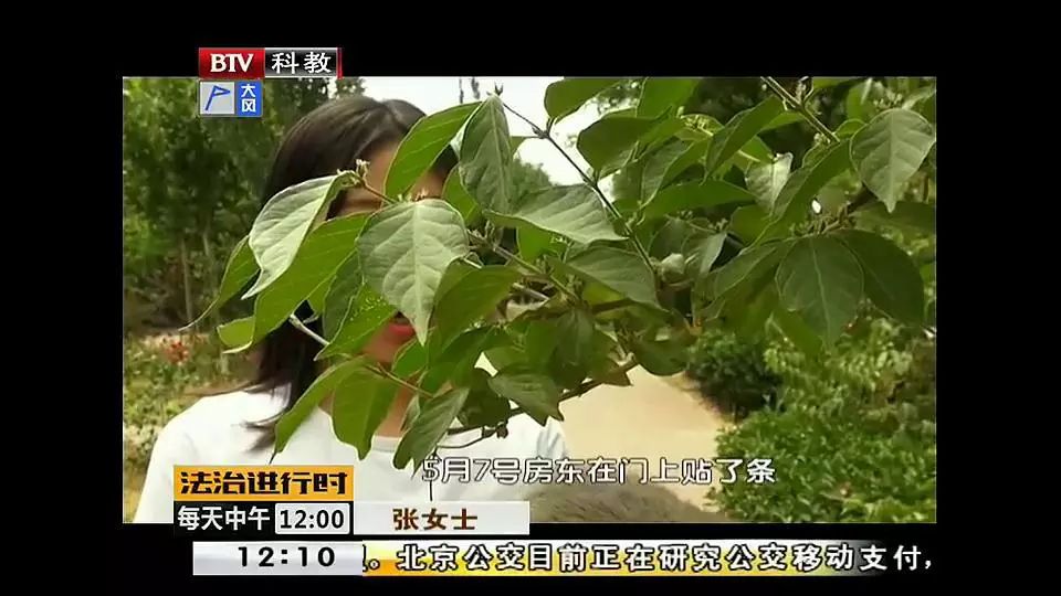 净网2019网警提示套路贷,净网2018网警提示