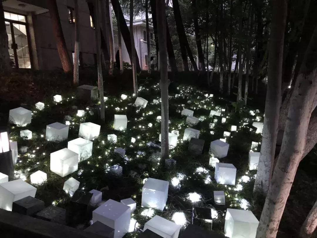 南艺你不知道的事,南艺的真实生活