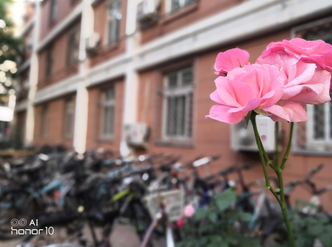 荣耀10拍照片怎么样,荣耀10值得买吗2019