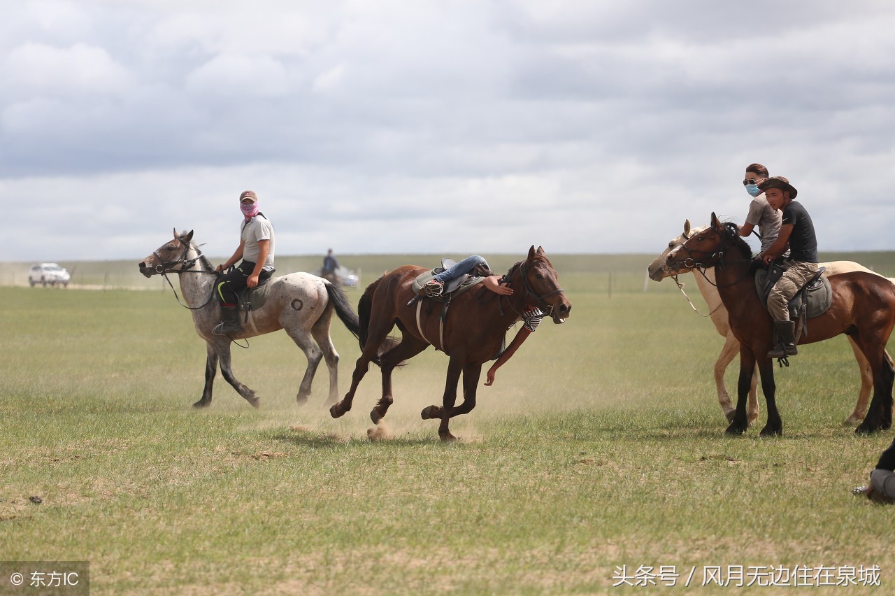 蒙古马和套马图片,蒙古套马绳子教学