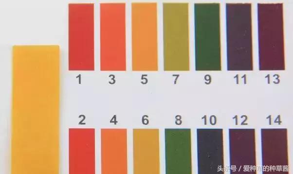 洗面奶到底哪款好用又实惠,哪款洗面奶好用又不贵