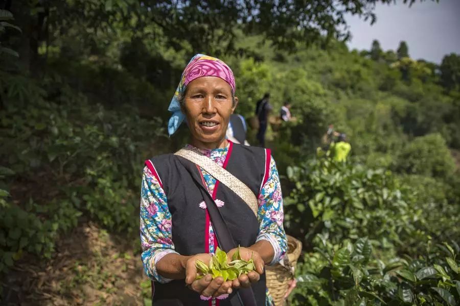 他卖掉所有家当回国创业，做洗护用品，竟引来网红民宿排队打call