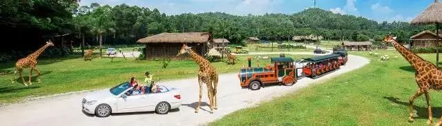 广州生日免费领取福利,生日福利广州攻略清单