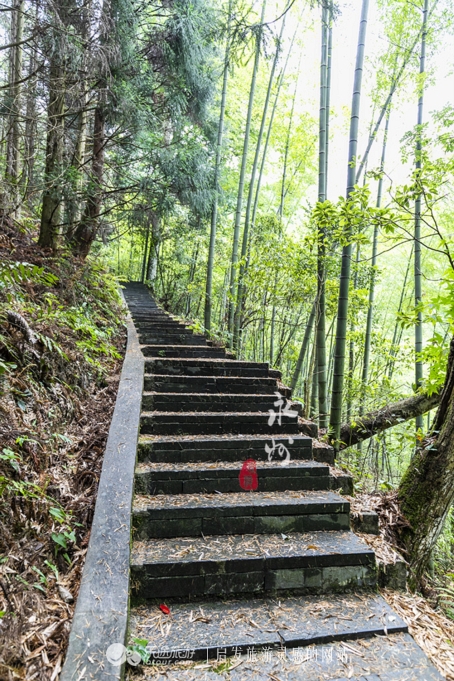 台湾阳明山简介,台湾阳明山全景