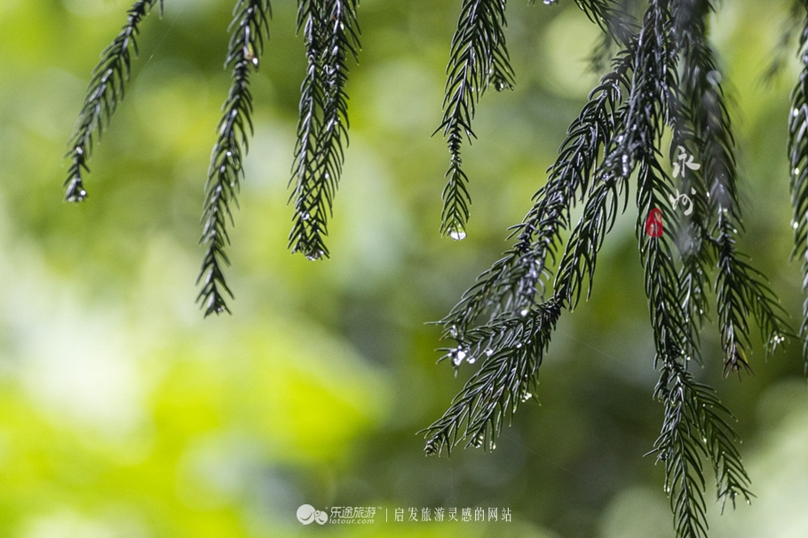 台湾阳明山简介,台湾阳明山全景