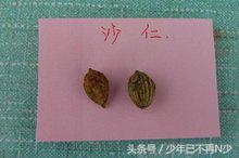 麻辣烫做法和配方开店教程,麻辣烫的做法和配方开店