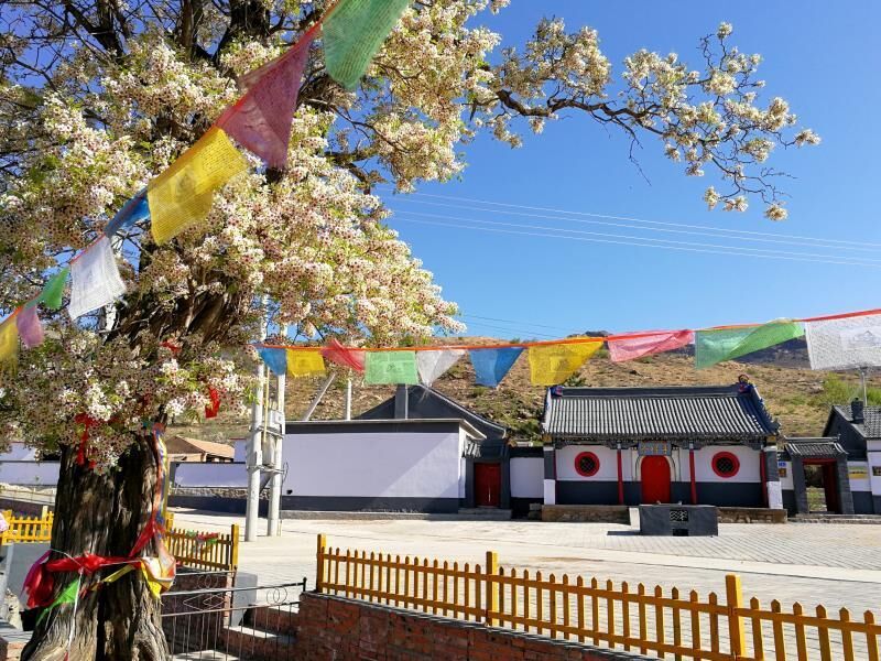 宁城县小城子镇新闻,宁城县小城子镇杀人案