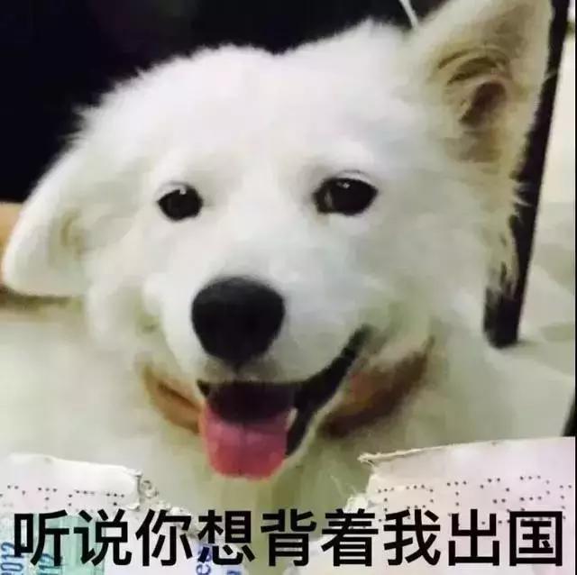 护照注意事项及提示,护照检查流程及注意事项