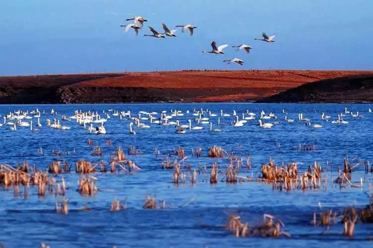 内蒙集宁的历史,内蒙古集宁算是座古城吧