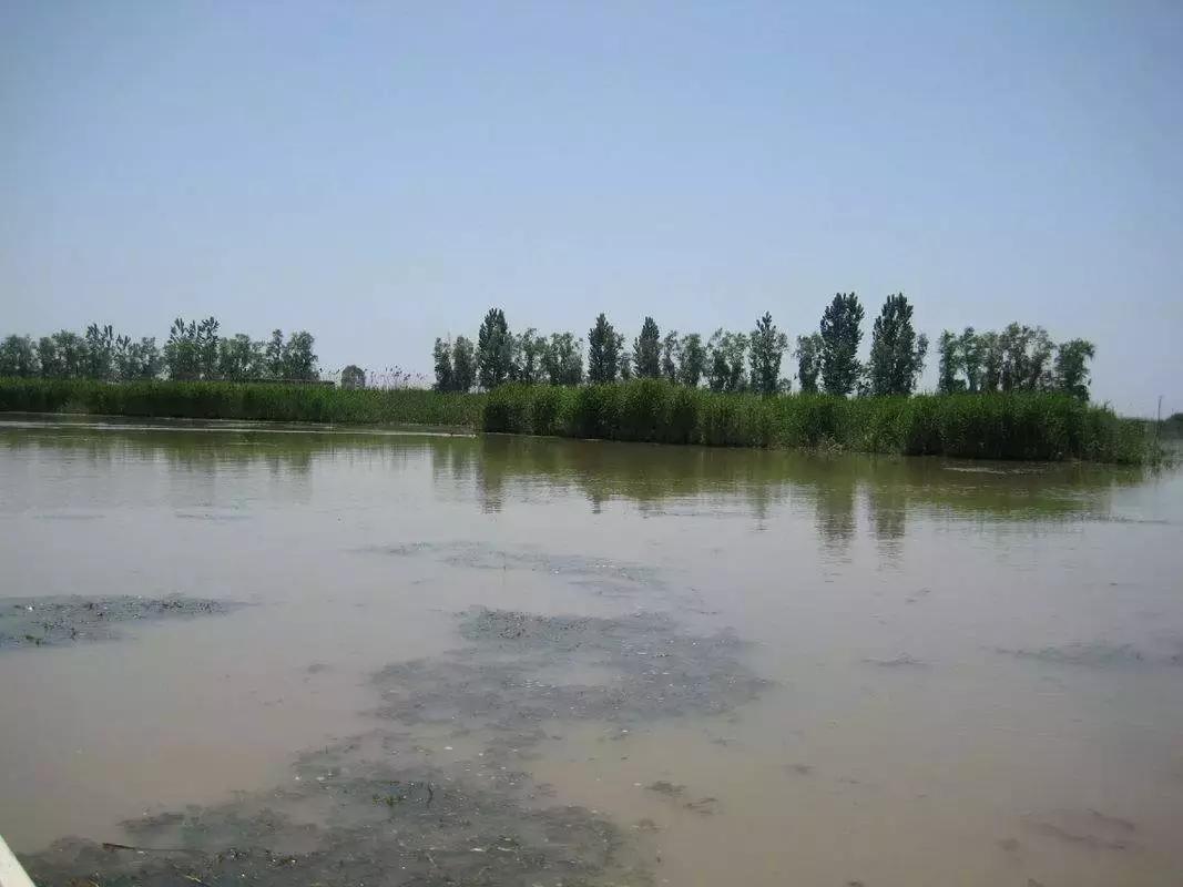 台儿庄微山湖,寻梦台儿庄最美微山湖