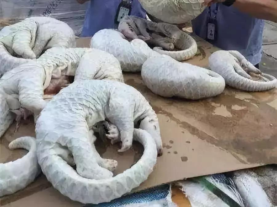 海外代购的荒唐陷阱,最可怕的代购骗局