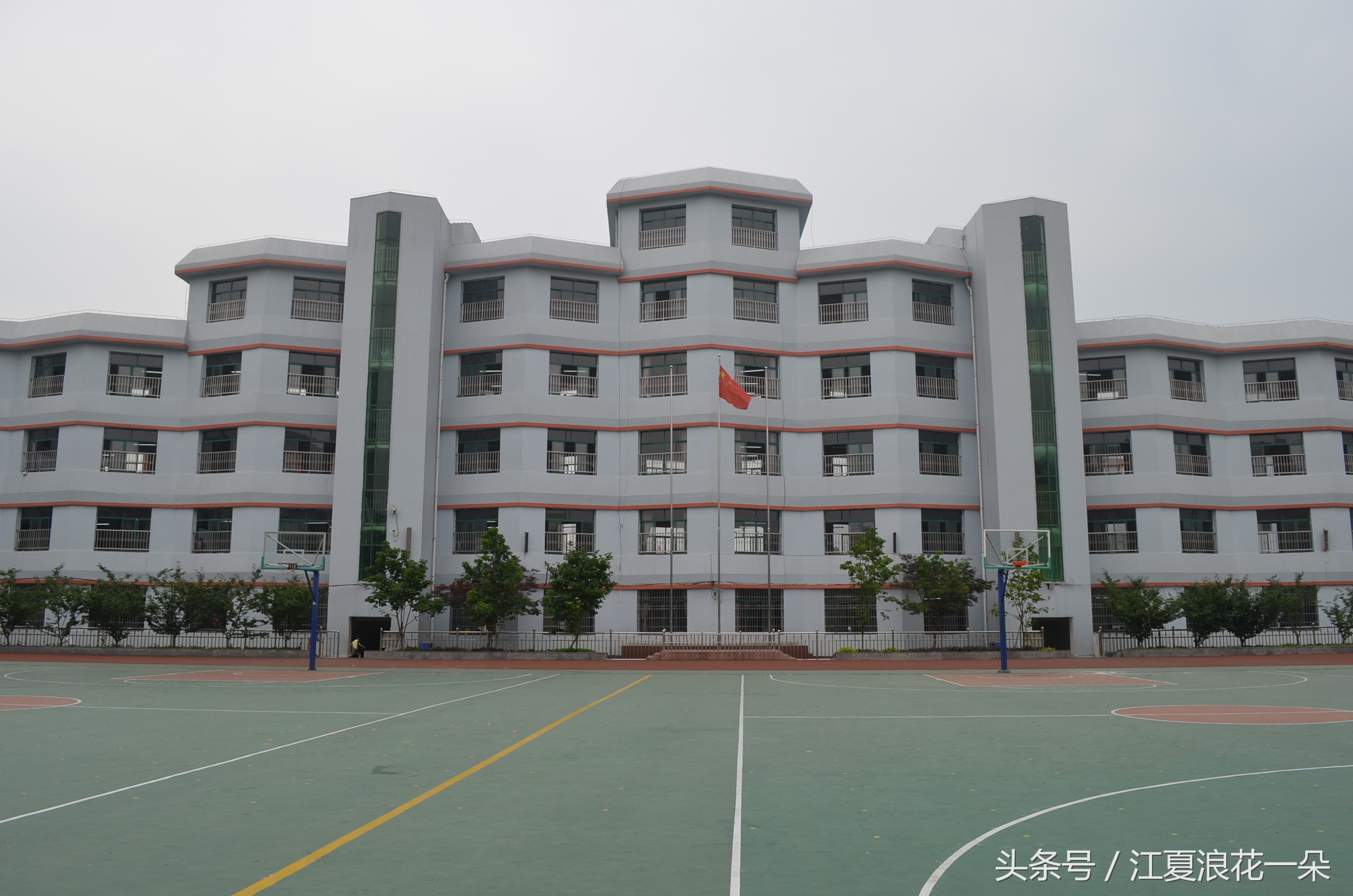 武汉市江夏实验小学,武汉市江夏区实验小学2019