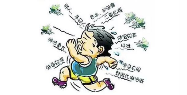 泰国驱蚊提神的好处,泰国青草膏驱蚊止痒