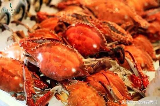 成都六一亲子游景点推荐,六一儿童节成都周边亲子游玩