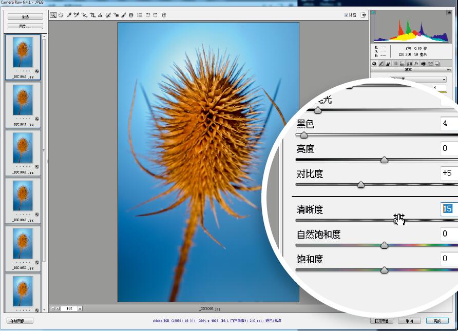 微距摄影后期合成,微距照片景深合成