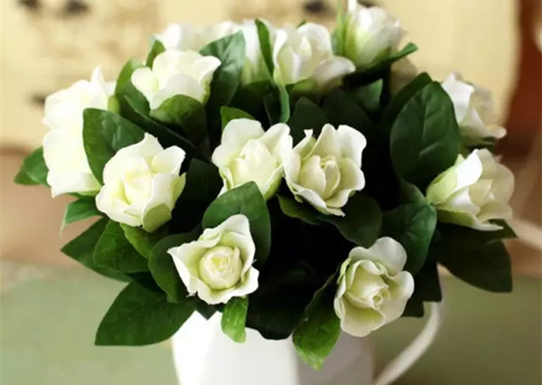 农村伯伯买回一株红色栀子花,侄女却要吃了它,原来栀子花真能吃