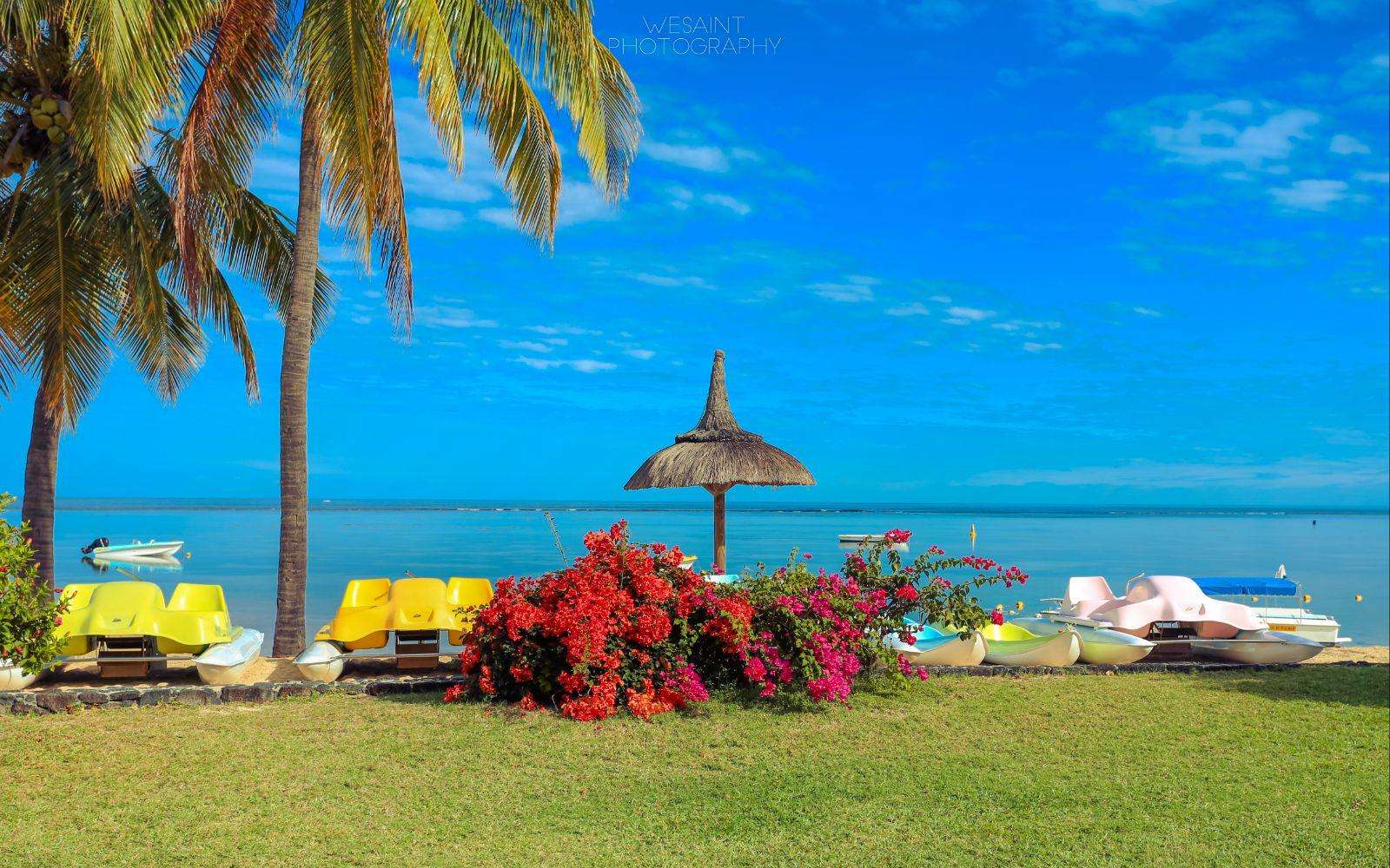 一海一世界完整视频,一海一世界一船一菩提