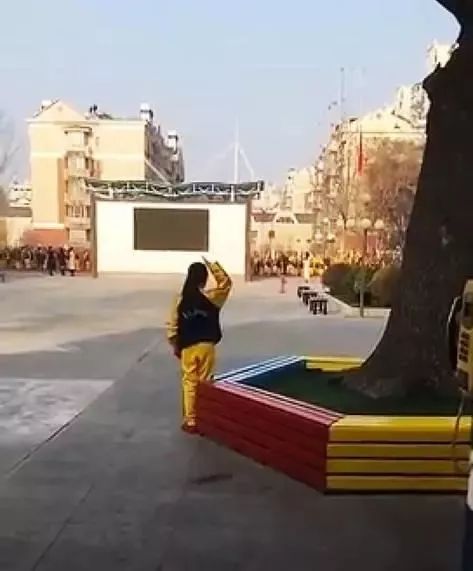 男子践踏烈士墓被处罚,男子辱国旗被拘留后续