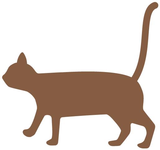 2023龚滩古镇露营音乐节几点开始,2021龚滩古镇民谣音乐节