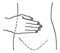 吃艾草对女人有什么好处,常吃艾草对女人的好处