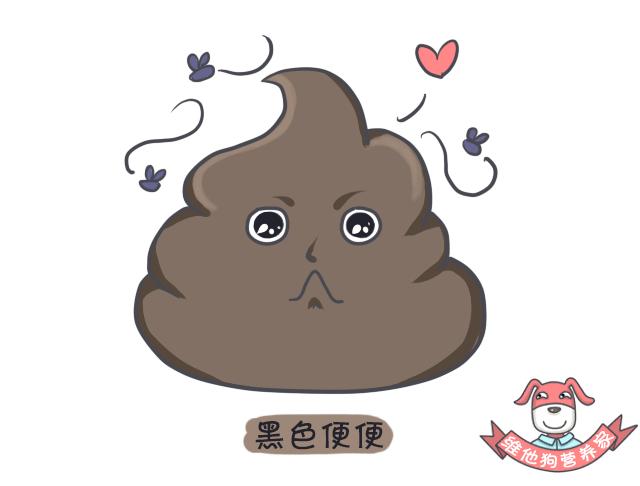 关于便便你不知道的知识,有关便便的知识