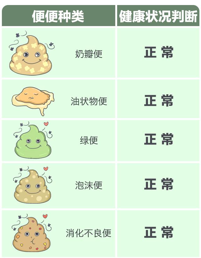令人困扰的便便儿童科普,关于便便的小知识
