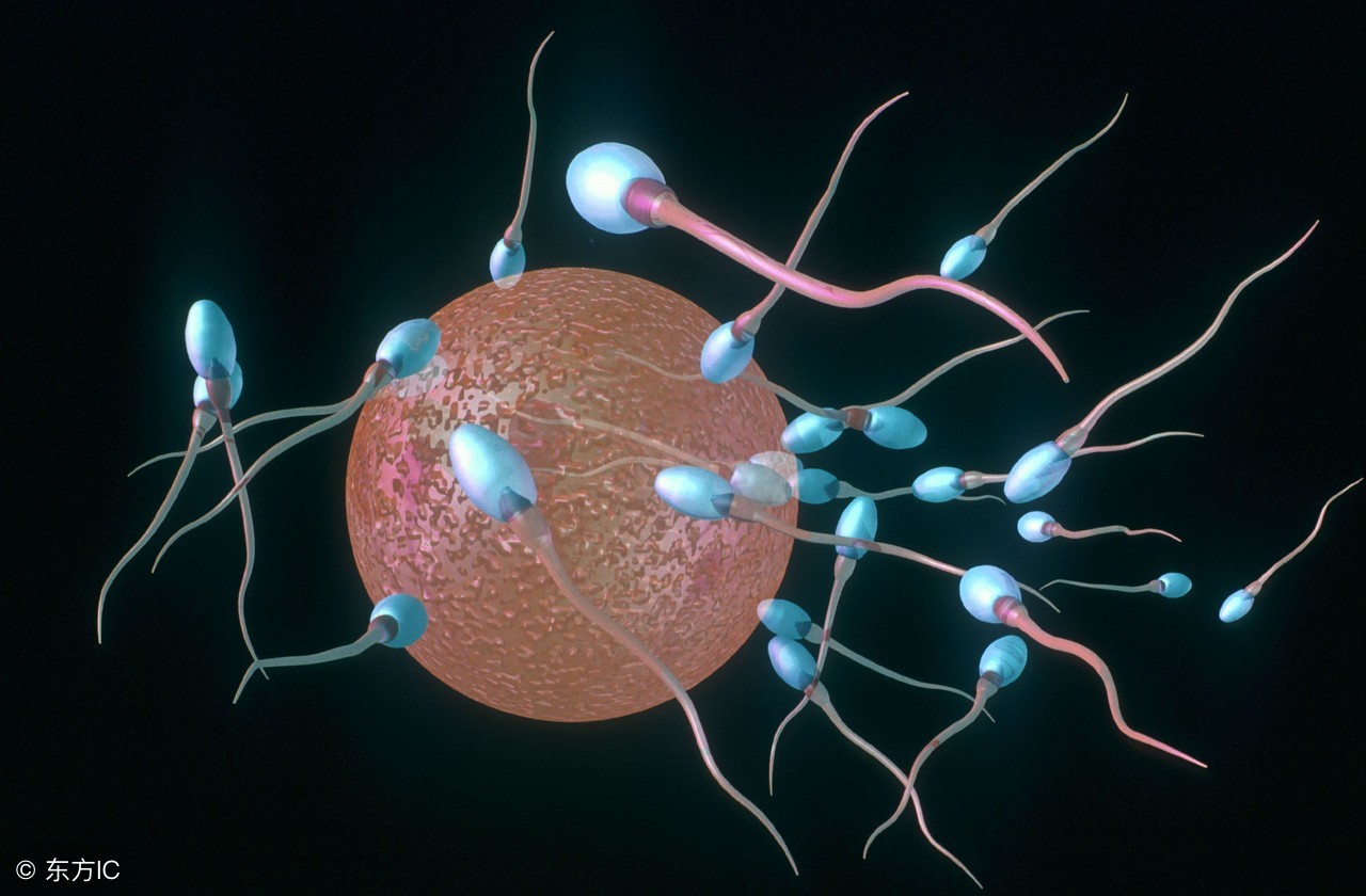 毓婷紧急避孕药吃半粒有效吗,紧急避孕药毓婷吃一粒能避孕吗