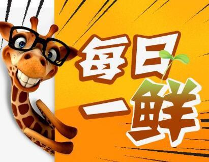 赢在起跑线上的孩子视频搞笑,萌娃发量惊人好像蒙奇奇