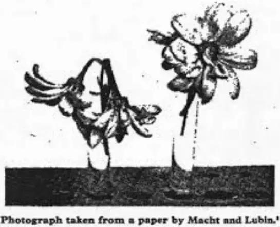 大姨妈的实质是什么,大姨妈进化过程