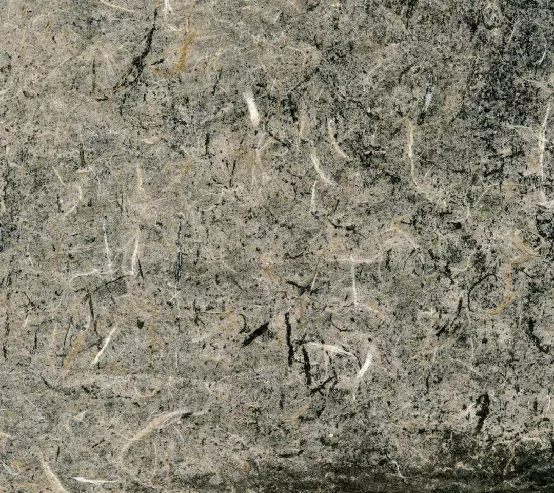 超越预知的可能——谭军谈纸本绘画综合技法