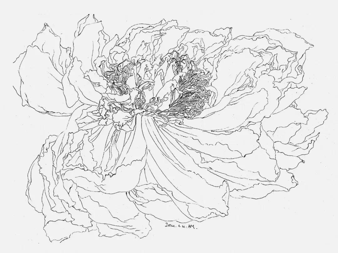 超越预知的可能——谭军谈纸本绘画综合技法