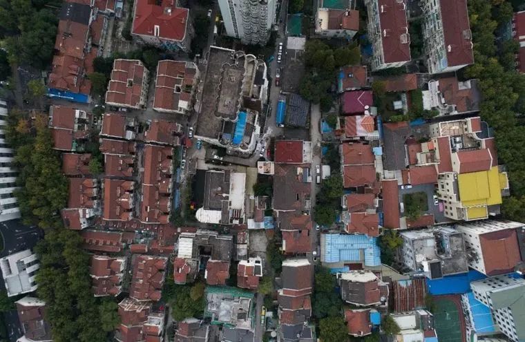 连树都种进房子！71岁高龄老房爆改“回春”，从危房到美宿，不只是惊艳！