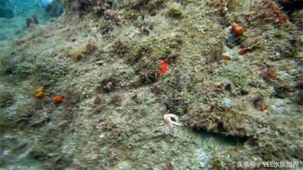 多管下水解决方案,多管齐下才有良效吗